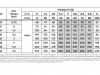 Pompa głębinowa Belardi 4H36 4kW/400V Omnigena WODNY #2