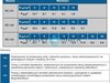 Pompa zatapialna FZV.1.02 230V HV bez wyposażenia+pływak #2