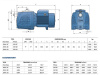 Pompa hydroforowa JSWm 2AX 230V PEDROLLO #2