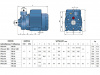 Pompa hydroforowa PK 60-MD 400V PEDROLLO #4