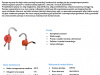 Pompa ręczna KS 25 do oleju napędowego Omnigena #2